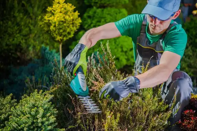 landscaping services Simpsonville